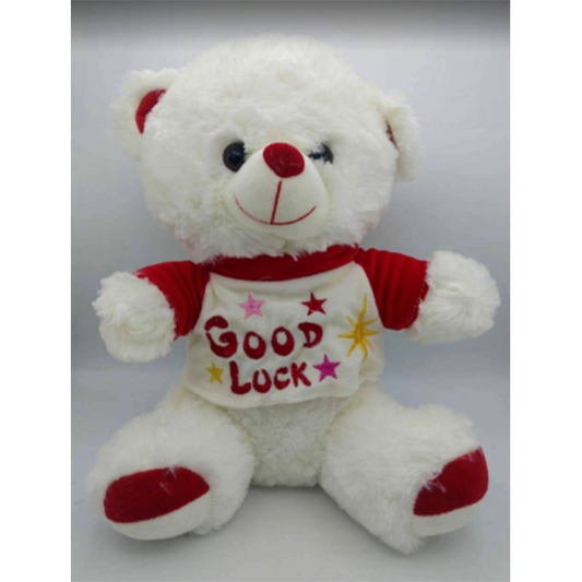 Teddy bear ( Good luck )