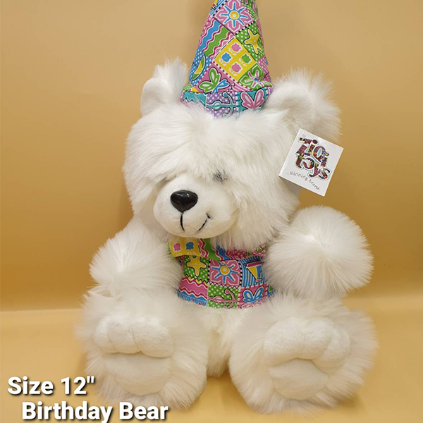 Birthday Bear With Cap & Jacket 20"  Size 20 Inches